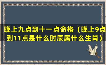 晚上九点到十一点命格（晚上9点到11点是什么时辰属什么生肖）