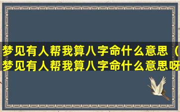 梦见有人帮我算八字命什么意思（梦见有人帮我算八字命什么意思呀）
