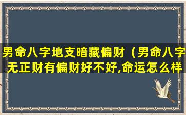 男命八字地支暗藏偏财（男命八字无正财有偏财好不好,命运怎么样）