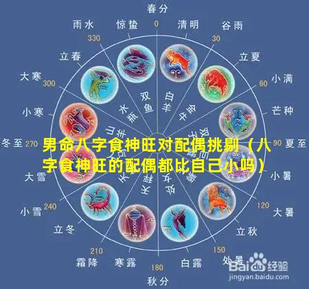 男命八字食神旺对配偶挑剔（八字食神旺的配偶都比自己小吗）