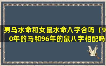 男马水命和女鼠水命八字合吗（90年的马和96年的鼠八字相配吗）