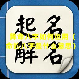 箅命八字如何运用（命的八字是什么意思）
