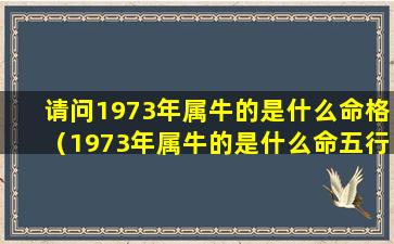 请问1973年属牛的是什么命格（1973年属牛的是什么命五行属什么）