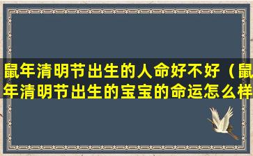 鼠年清明节出生的人命好不好（鼠年清明节出生的宝宝的命运怎么样）